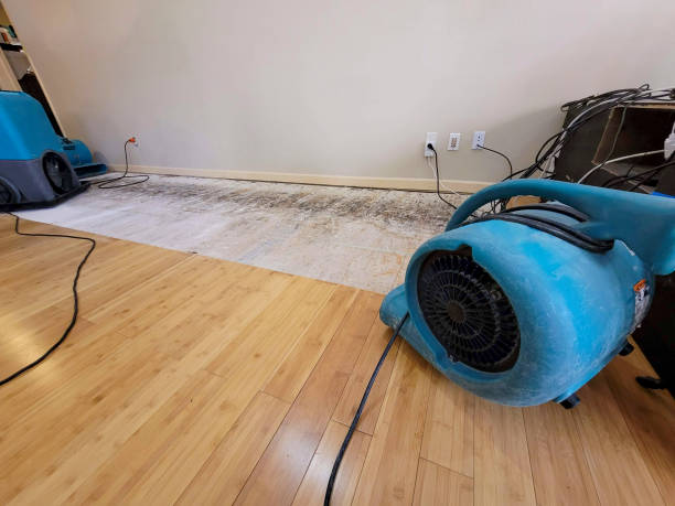 Professional Ceiling Water Damage Repair technician working in Clifton, OH